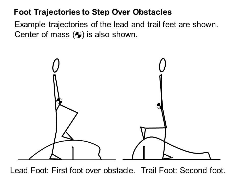 Example trajectories of the lead and trail feet are shown.