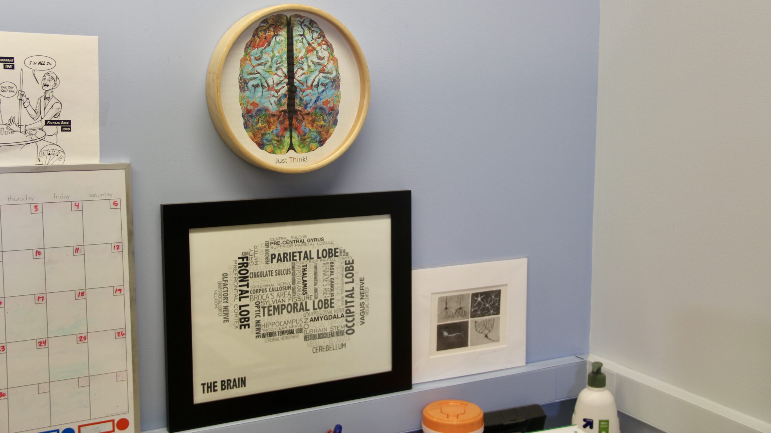 a brain clock and word cloud shaped like a brain