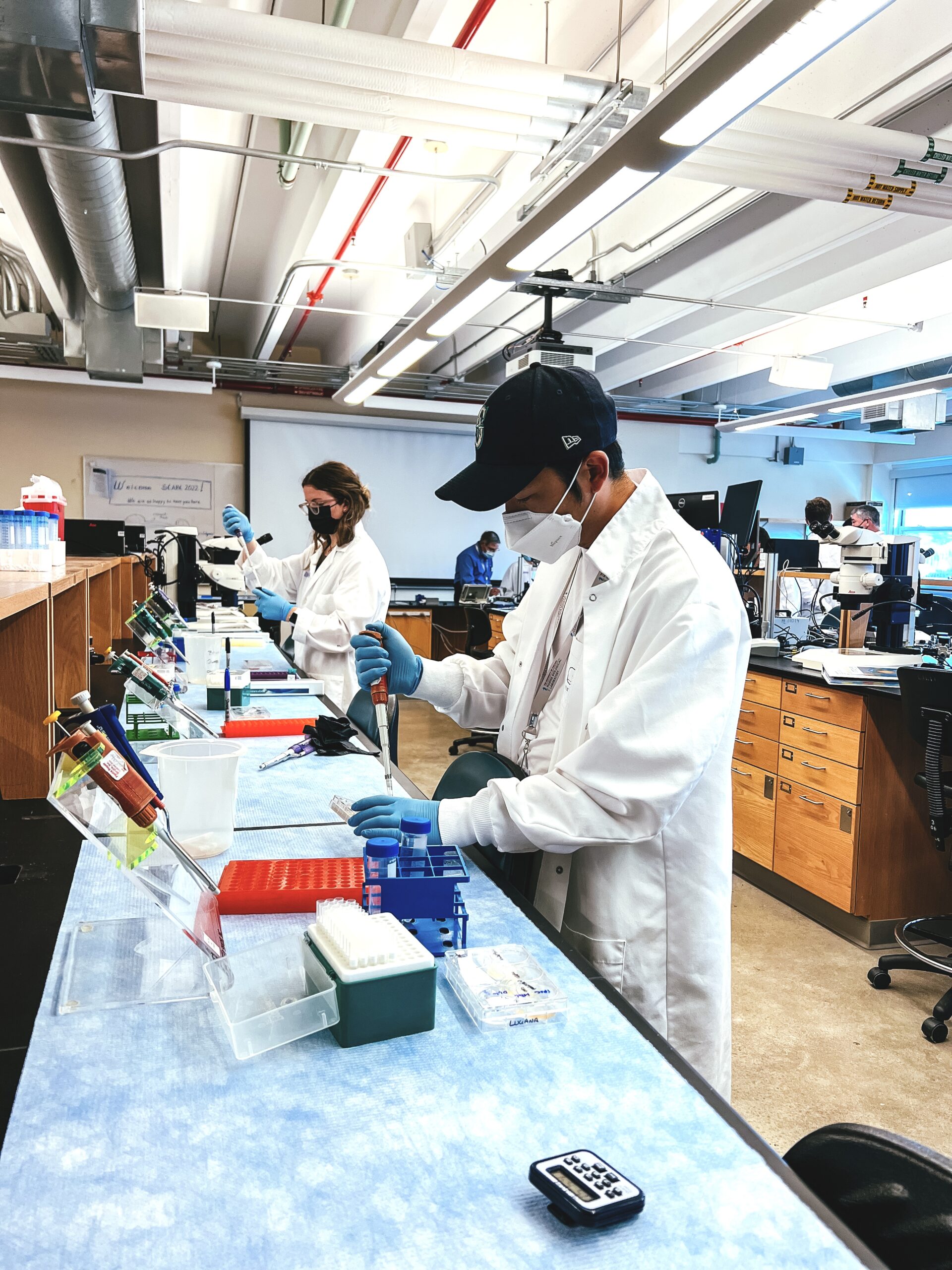 Hyunjin Kim works in a wet lab at the Marine Biology Lab in Massachusettts.