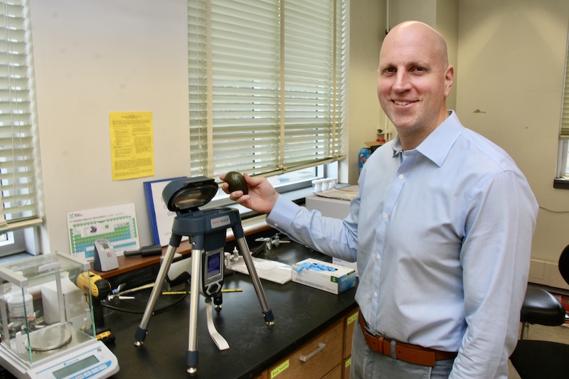 Aaron Specht holds an avocado that he will scan with portable XRF technology