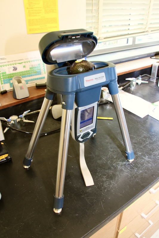 A portrable XRF stands holds an avocado for analysis on a counter.