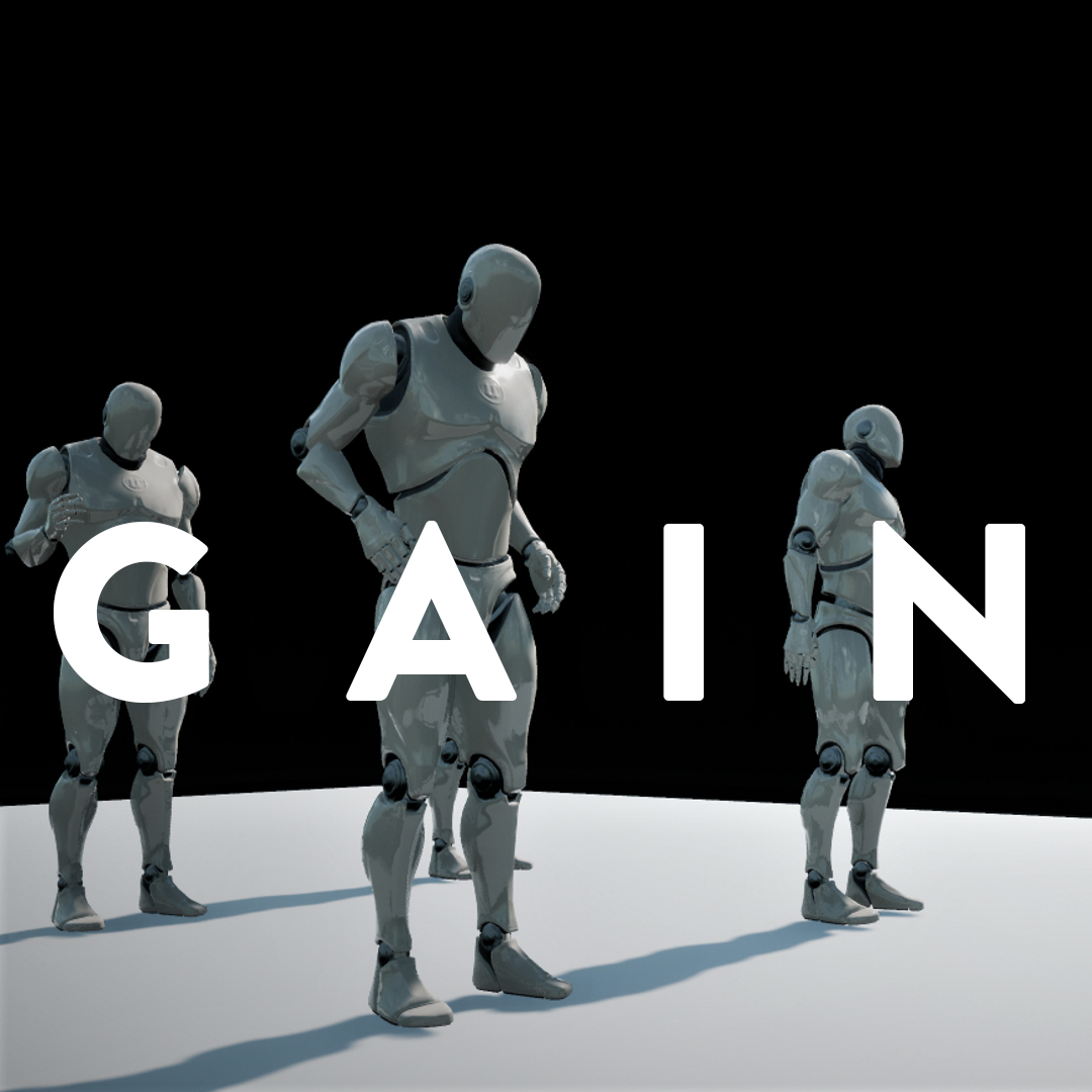 Click here to see information about the GAINS research team.