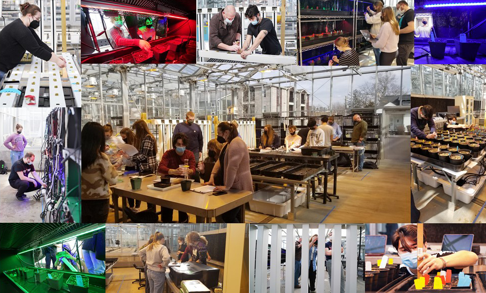 Collage of photos of students working in facility