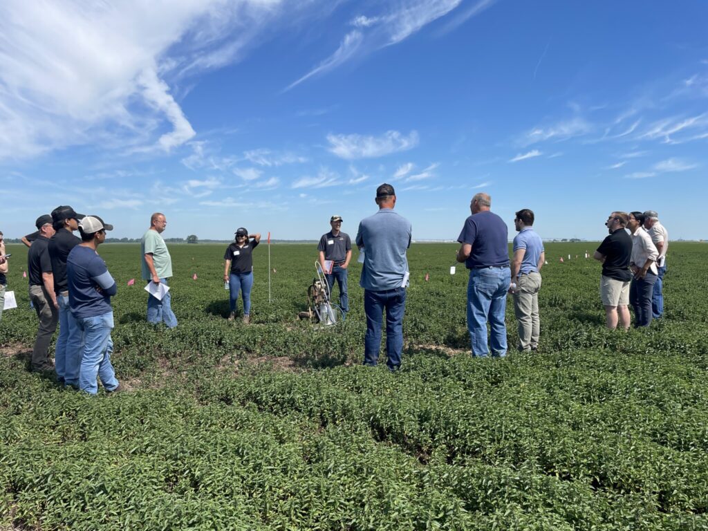 Attendees of Purdue Mint Field Day standing in mint field during Stephen Meyers' herbicide trials presentation