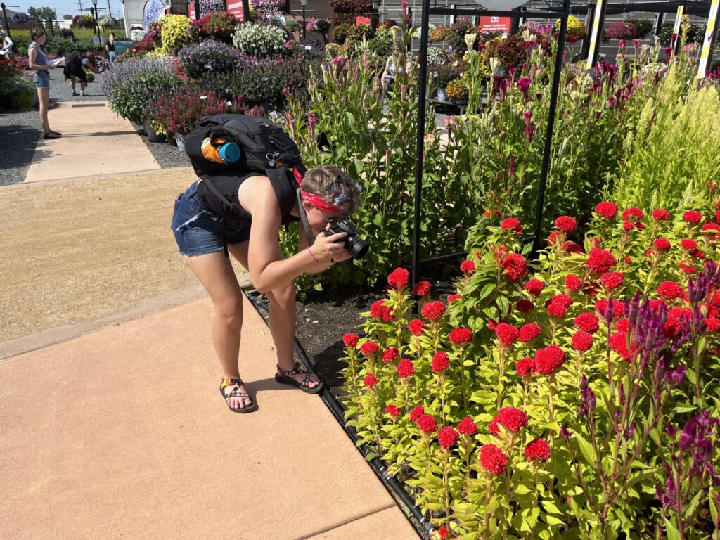 student photographing a flower in the display garden
