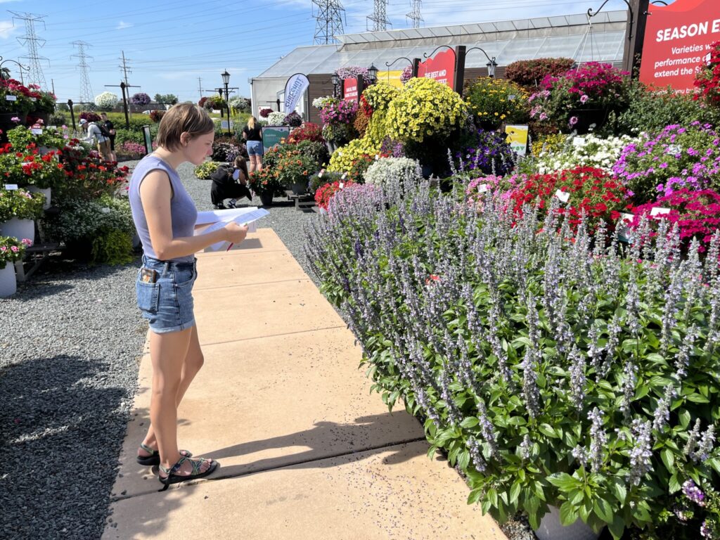 student studying a flowers in the display garden