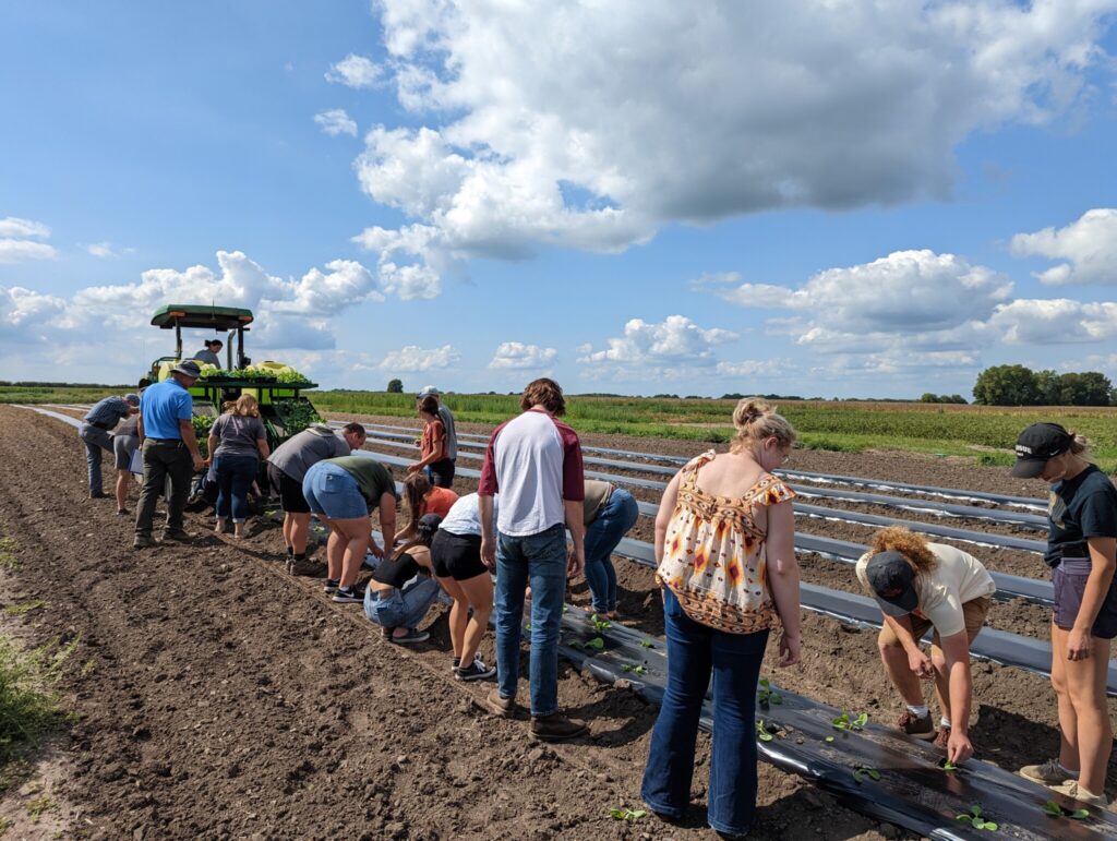 Students behind a tractor planting seedlings