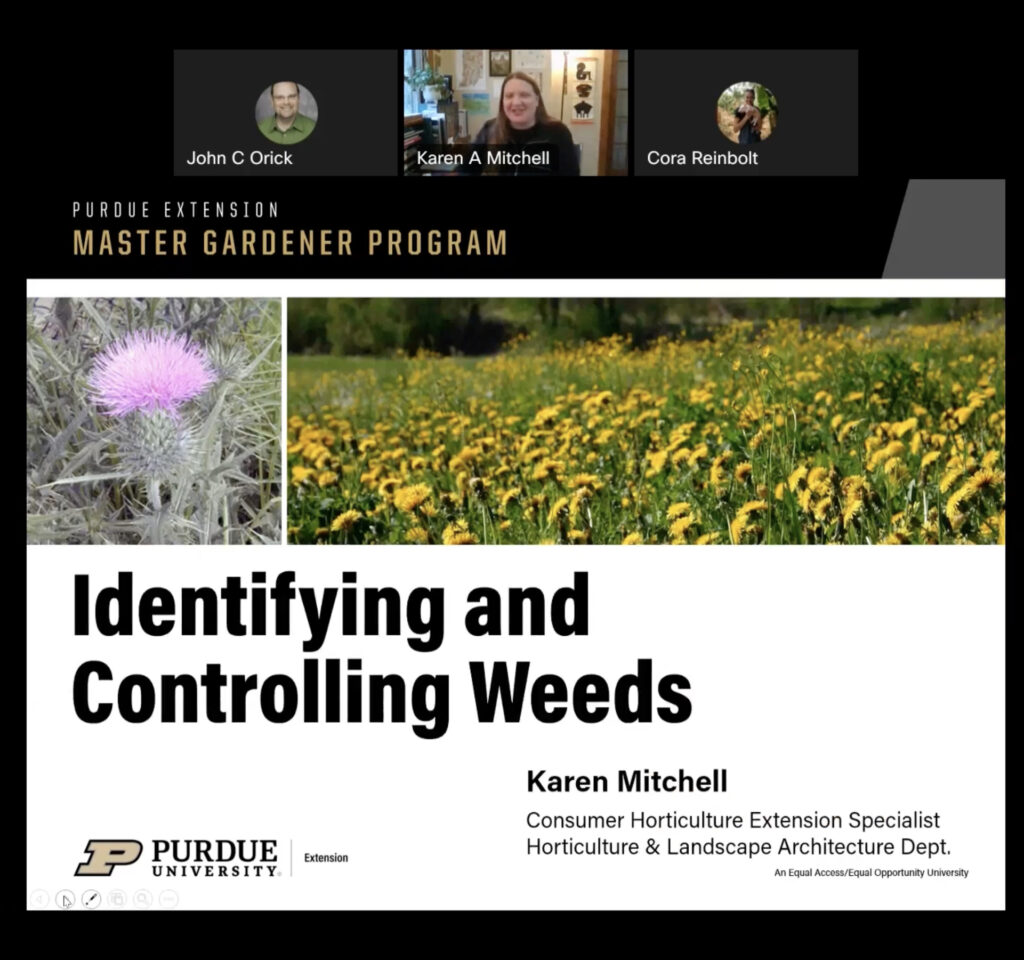 Screenshot of Karen Mitchell's Presentation on Identifying and Controlling Weeds during the March 21 Purdue Extension Master Gardener Virtual Basic Training on Zoom.