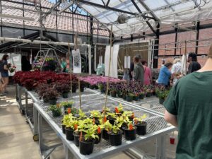 Attendees shopping for plants and flowers at the plant sale.