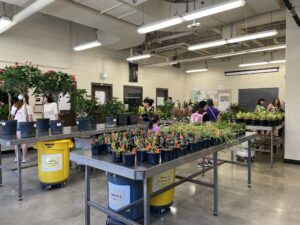 More attendees shopping for various plants at the plant sale.