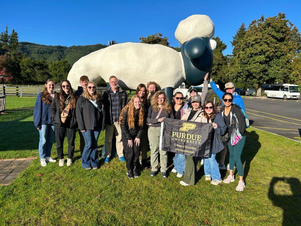 New Zealand Study Abroad group standing in front of a large sheep statue while holding a Purdue flag.