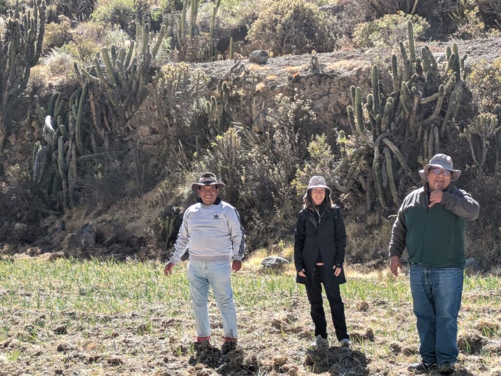 Mario Pachecho (Mayor of Madrigal), Lori Hoagland, and Dennis Macedo inspect a field of garlic where contamination from a nearby abandoned mine is suspected.