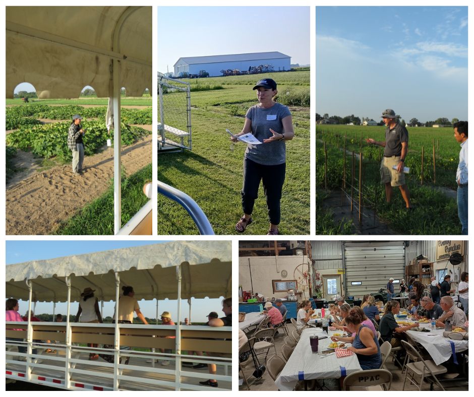 Photo collage of images from the Vegetable Twilight Meeting
