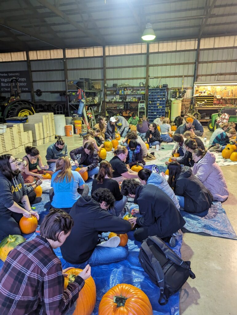 Students sitting on the floor inside the barn carving pumpkins.