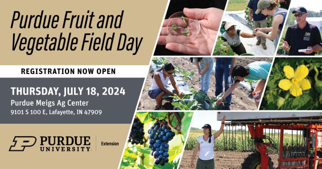Purdue Fruit and Vegetable Field Day Flyer
