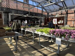 Hort Club/PSFO Plant Sale at the Greenhouse