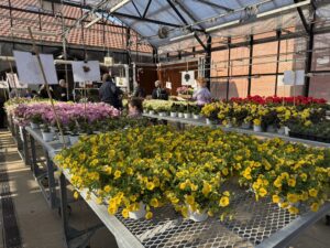 Hort Club/PSFO Plant Sale at the Greenhouse