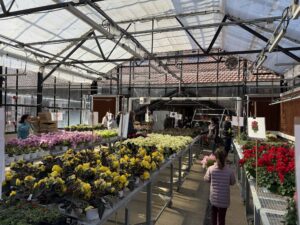 Hort Club/PSFO Plant Sale at the Greenhouse