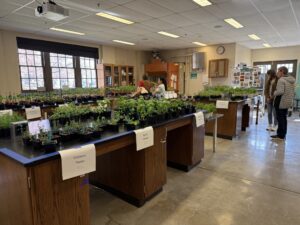 Hort Club/PSFO Plant Sale at the Greenhouse
