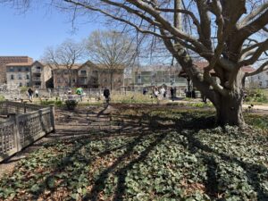 Families hanging out in the Jules Janick Horticulture Garden.