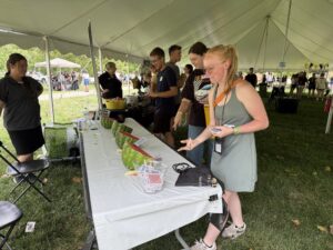 Students trying their hand at Watermelon Card Ninja.