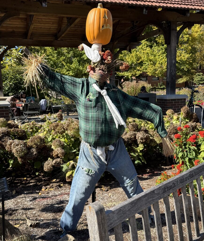 Scarecrow in garden.