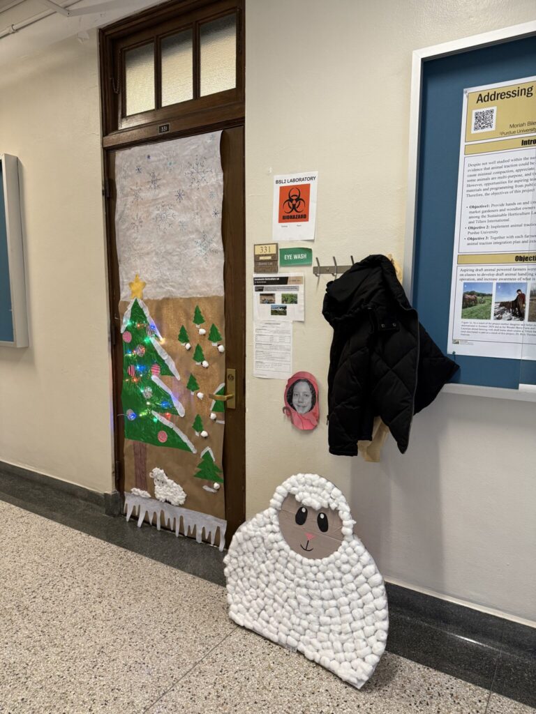 Bilenky Lab door featuring "sheep" made out of cotton balls.