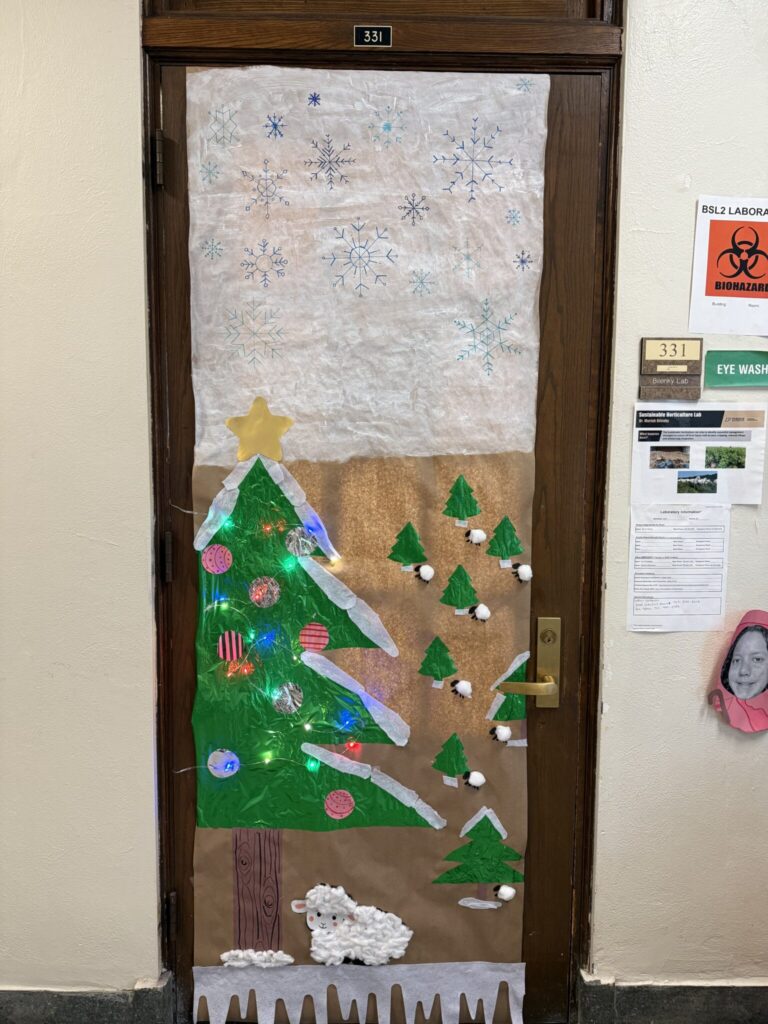 Bilenky Lab door featuring "sheep" made out of cotton balls.