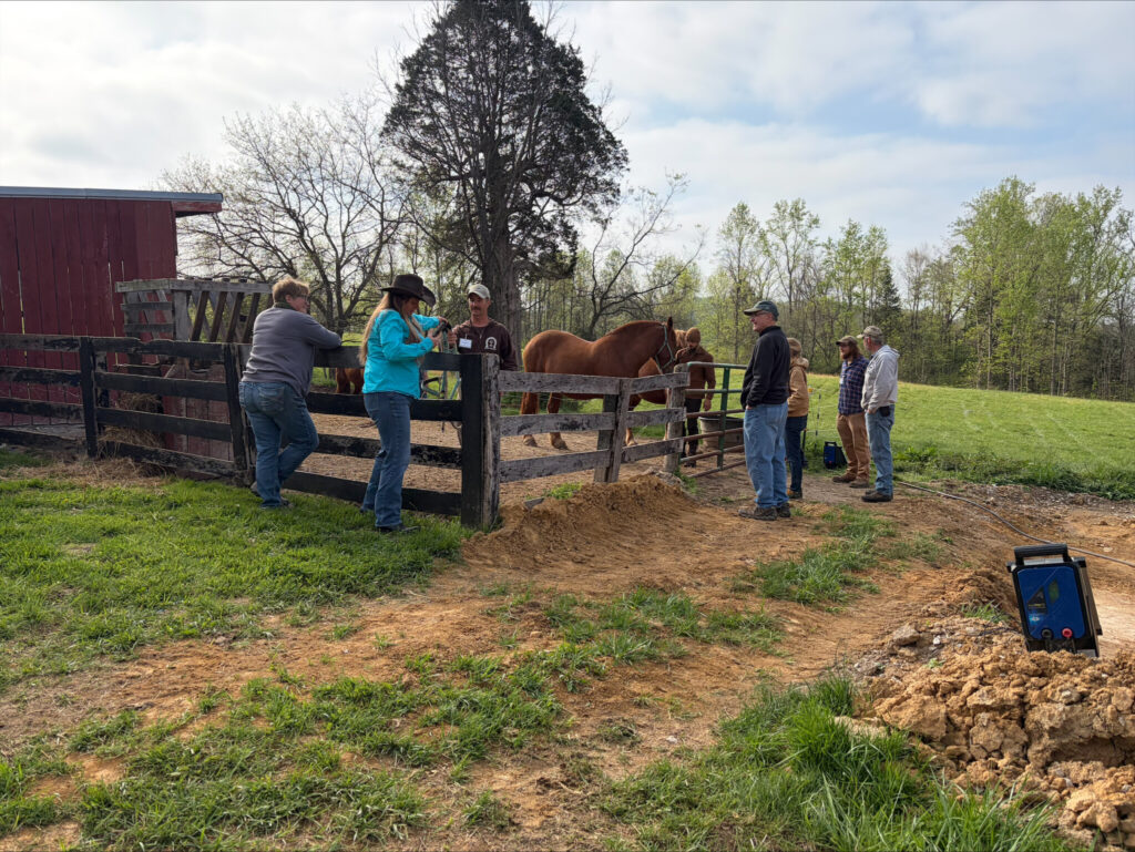 Workshop participants gather near a fenced paddock as draft horses are discussed during the Fundamentals of Farming with Draft Horses workshop.