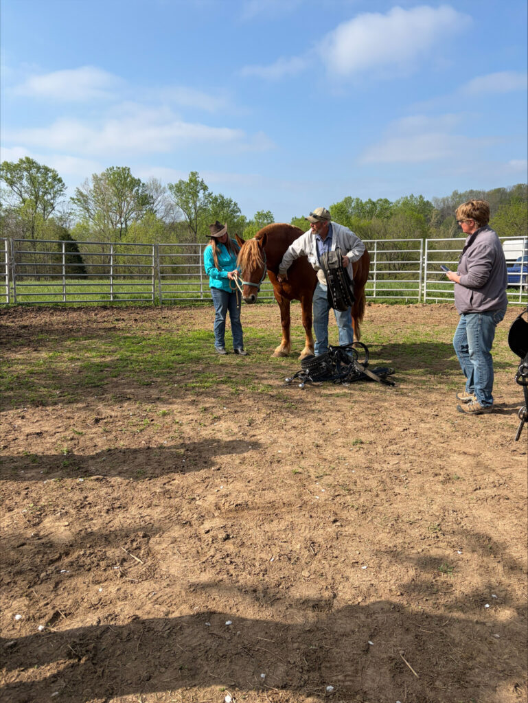 “Instructors demonstrate draft horse equipment while participants observe during the Fundamentals of Farming with Draft Horses workshop.