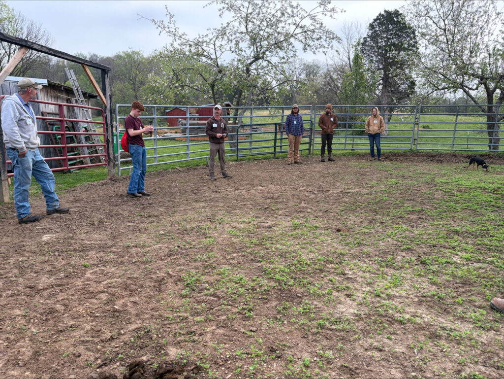 Participants stand spaced around an outdoor livestock enclosure during the Fundamentals of Farming with Draft Horses workshop.