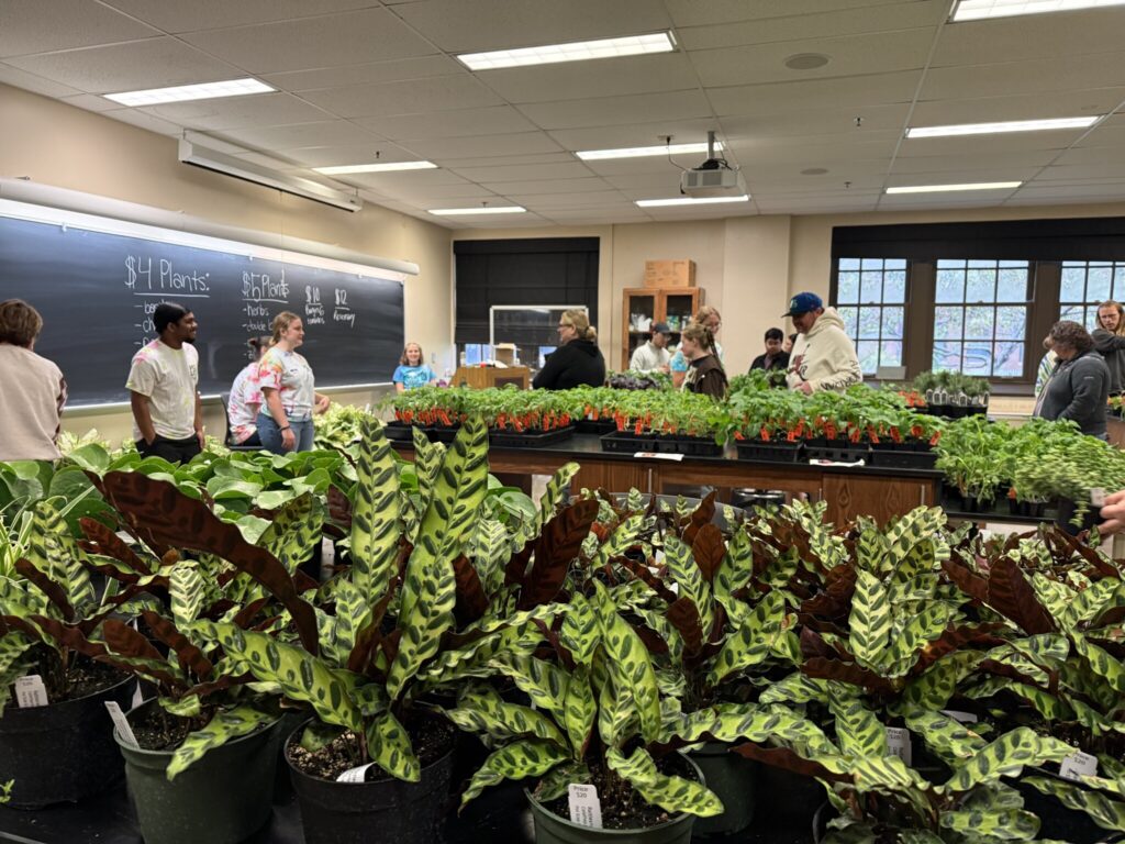Room filled with tables of potted plants for sale as attendees browse and talk; chalkboard behind lists plant prices including $4 and $5 options.