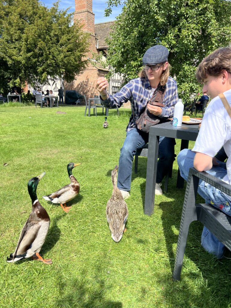 Two people sit at an outdoor table feeding ducks on a lawn near timber-framed buildings at Little Moreton Hall.