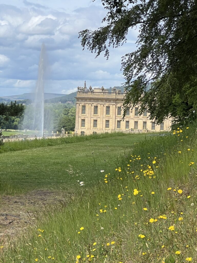 Chatsworth House viewed across a lawn with wildflowers, a tall fountain jet, and trees framing the scene under a cloudy sky.