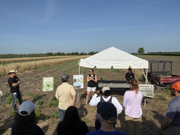 Attendees listen to a field presentation at an outdoor research station stop.