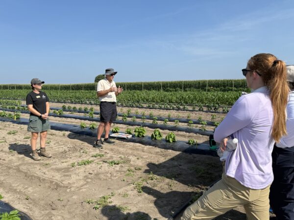 Participants observe vegetable research plots during a guided field tour.