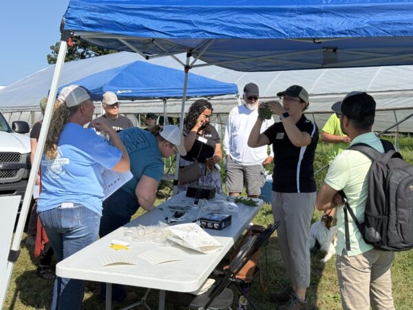 Participants examine plant and insect samples during an interactive educational session.