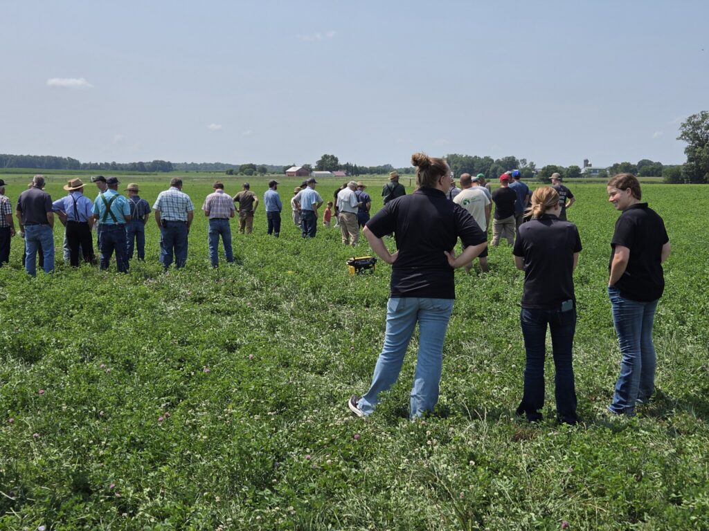 Field day attendees stand in a green forage field while listening to a presentation about organic dairy and crop production practices.