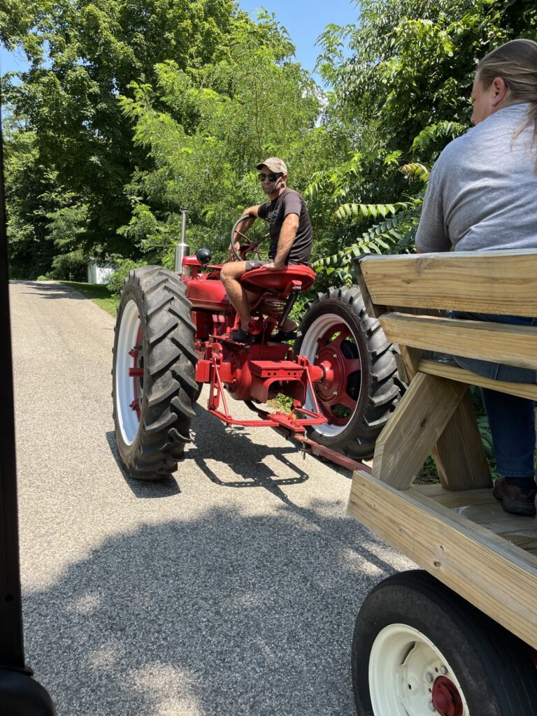 A person drives a red vintage tractor pulling a wagon along a tree-lined farm lane as participants ride behind.