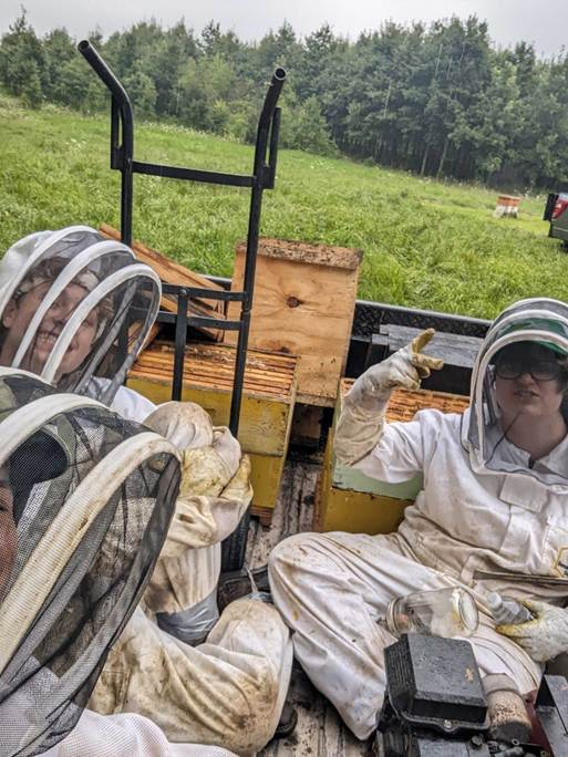 Two students in white beekeeping suits and veiled helmets sit in the bed of a truck alongside stacked wooden beehive boxes in a green, tree-lined field.