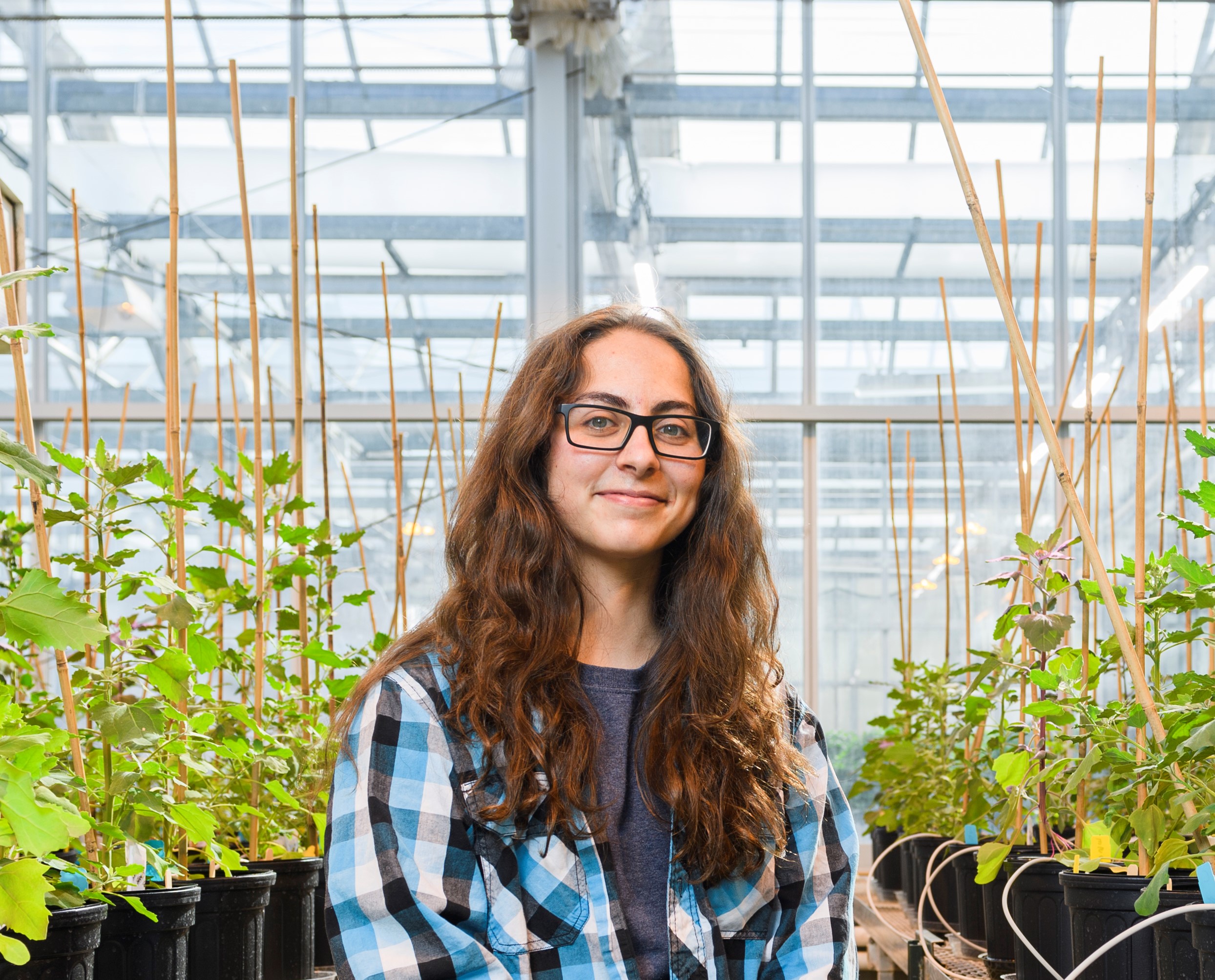 People Purdue University Dr Hoagland Soil Microbial Ecology Lab Listen to urban silence | soundcloud is an audio platform that lets you listen to what you love and share the sounds you create. purdue university