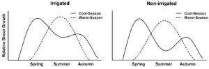 Seasonal shoot growth of cool-season and warm-season turfgrasses.