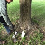 Chapter 13 – Management and Application of Pesticides in the Nursery and Landscape Industry