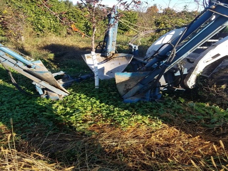 Machine dug B&B plant.