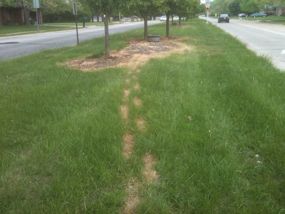 Spraying glyphosate in one area then walking across the turf. The residue on the bottom of the shoe was enough to kill the turf.