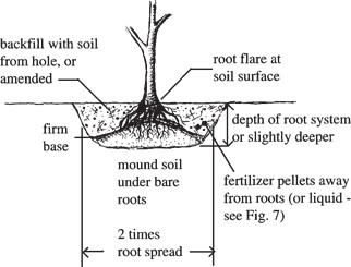 Surface conditions to complete planting operation.