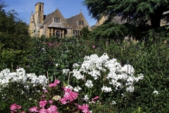 Hidcote-035