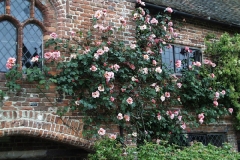 Sissinghurst-011