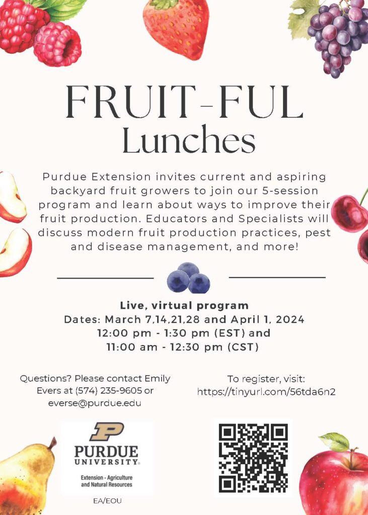 Fruit-Ful Lunches flyer