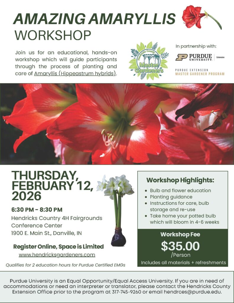 Amaryllis Workshop flyer.